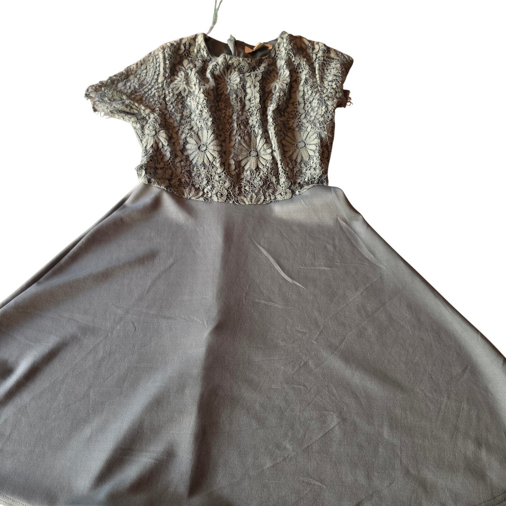 Francescas Sage Green Lace Bodice Fit and Flare Dress Short Sleeve Small